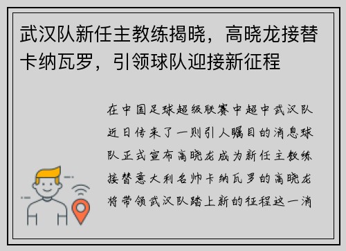 武汉队新任主教练揭晓，高晓龙接替卡纳瓦罗，引领球队迎接新征程
