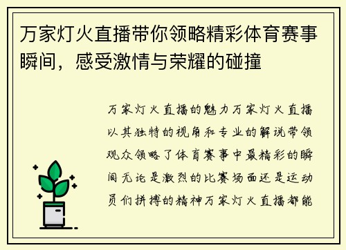 万家灯火直播带你领略精彩体育赛事瞬间，感受激情与荣耀的碰撞