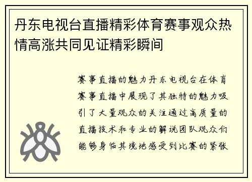 丹东电视台直播精彩体育赛事观众热情高涨共同见证精彩瞬间