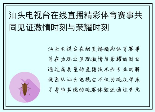 汕头电视台在线直播精彩体育赛事共同见证激情时刻与荣耀时刻